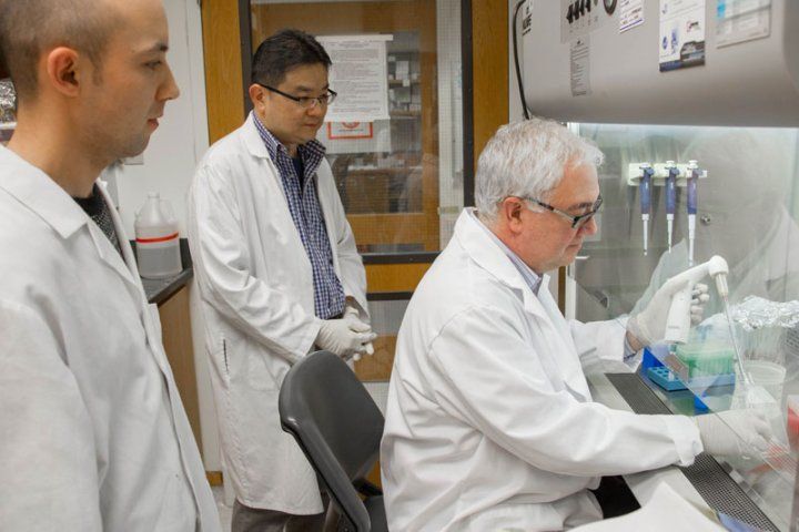 Joel Palefsky, MD, seated, far right, Aizezi Yasen, far left, a visiting scholar, and Aung Chein, MD, center, postdoctoral fellow, work in a lab.