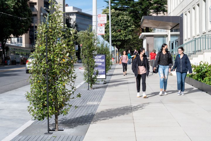 Small trees line a sidewalk at the UCSF Parnassus campus. Passersby walk on the sidewalk.