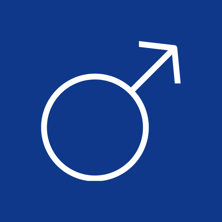 Icon of male symbol