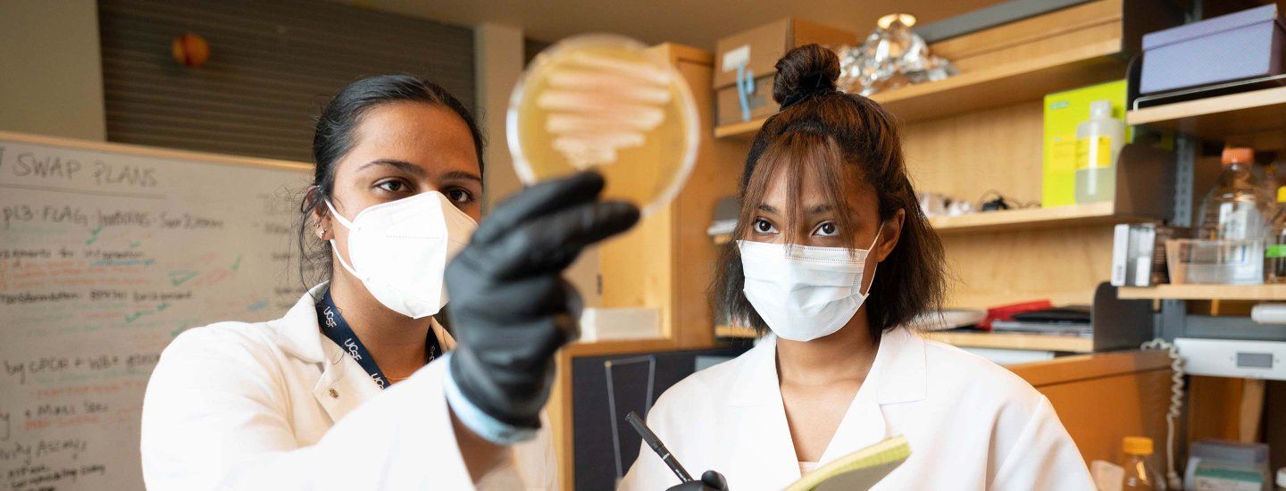 A mentor researcher holds up a petri dish while a summer graduate program participant takes notes