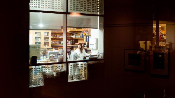 Researchers seen through window of lab