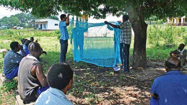 People holding up and teaching about mosquito nets.