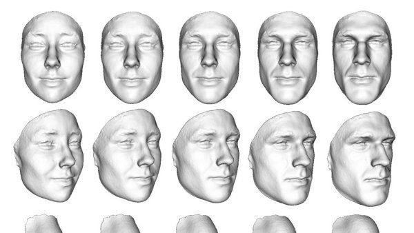 3D imaging of a subject in the center whose facial features have been transformed to be more masculine and feminine. 3D renderings on the left are of more feminine structures, and renderings to the right are masculine structures