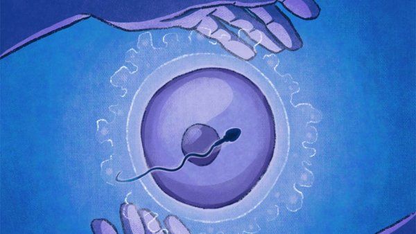 Illustration of hands encircling a human ovum (egg) with a sperm circling the egg.