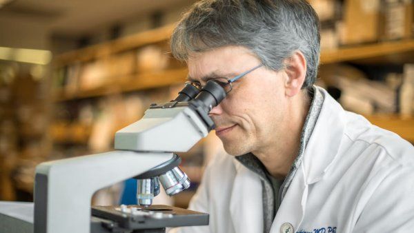 A male scientist wearing a lab coat looks into a microscope