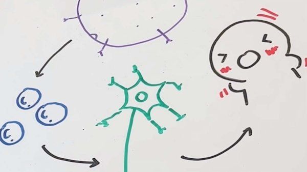 A drawing demonstrates the cycle between an irritant, IL-31, nerve responses and itchiness.