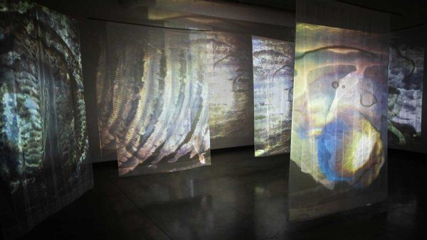 Multiple walls show projections of abstract video media in a dark room.