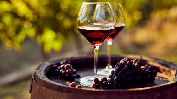 Two glasses of red wine and grapes sit on a barrel in a vineyard.