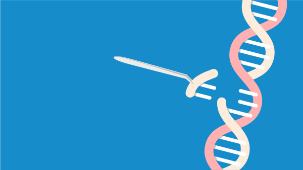 An illustration portraying gene editing, where a pair of pincers remove a gene from a strand of DNA.