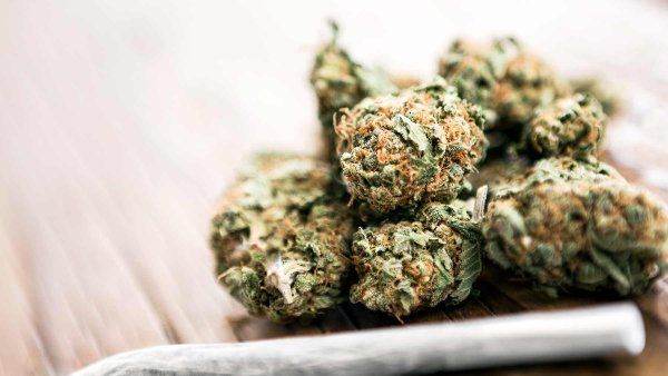 Cannabis joint on cannabis buds on wooden table.