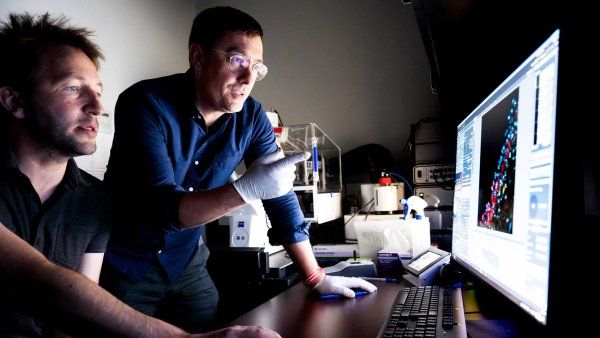 Professor Jeffrey Bush and specialist Ace Lewis look at microscopic images on a computer in a lab.
