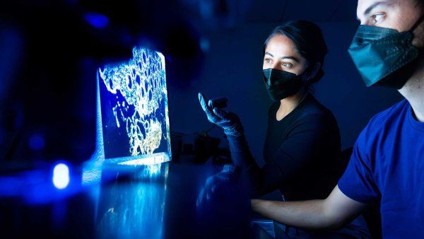 Two researchers look at a screen showing microscopic images relevant to research on long COVID.