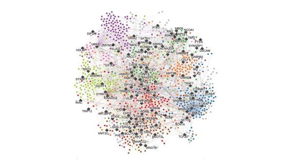 Network map of interconnected dots and diamond shapes representing autism risk proteins and the proteins they interact with.