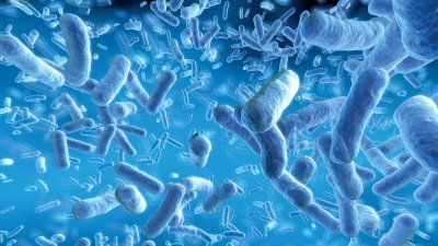 bacteria (1).jpg