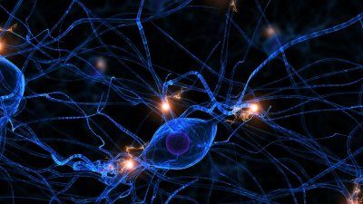 neuron-synapse-brain-cells.jpg