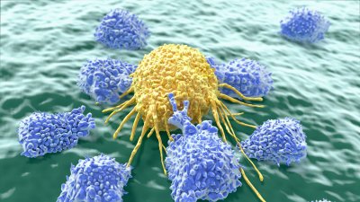 immune-cancer-cells.jpg