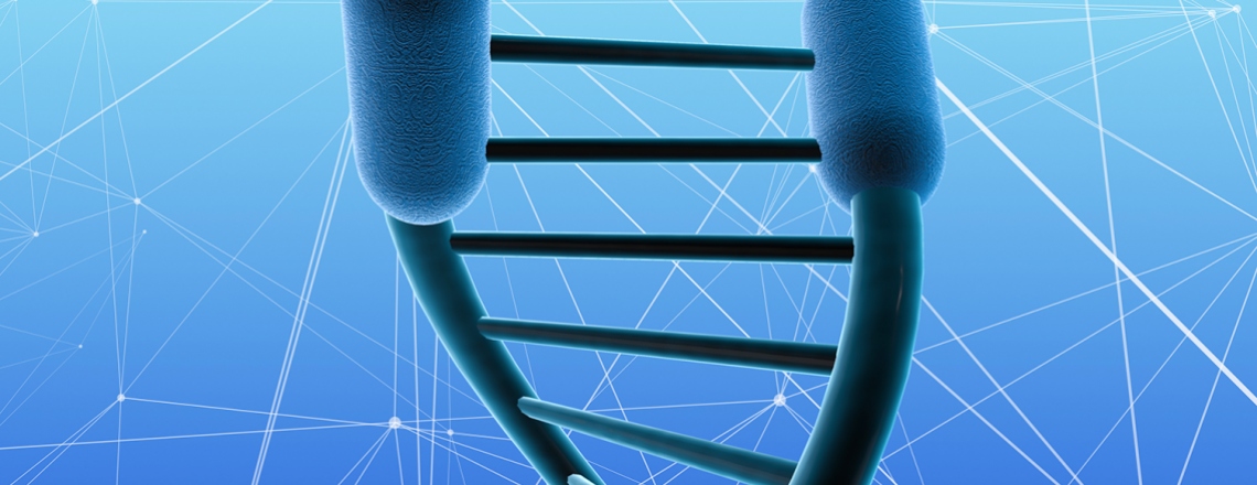 illustration of DNA strand with telomeres