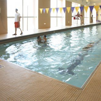 An indoor pool with windows along the side and a swimmer in the water