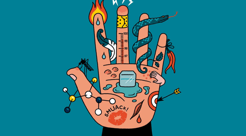 Illustration of the front of a hand with various stimuli on it, including a fire, ice, mosquito, a feather, a snake, chili peppers, itch, pain, and a kiss.