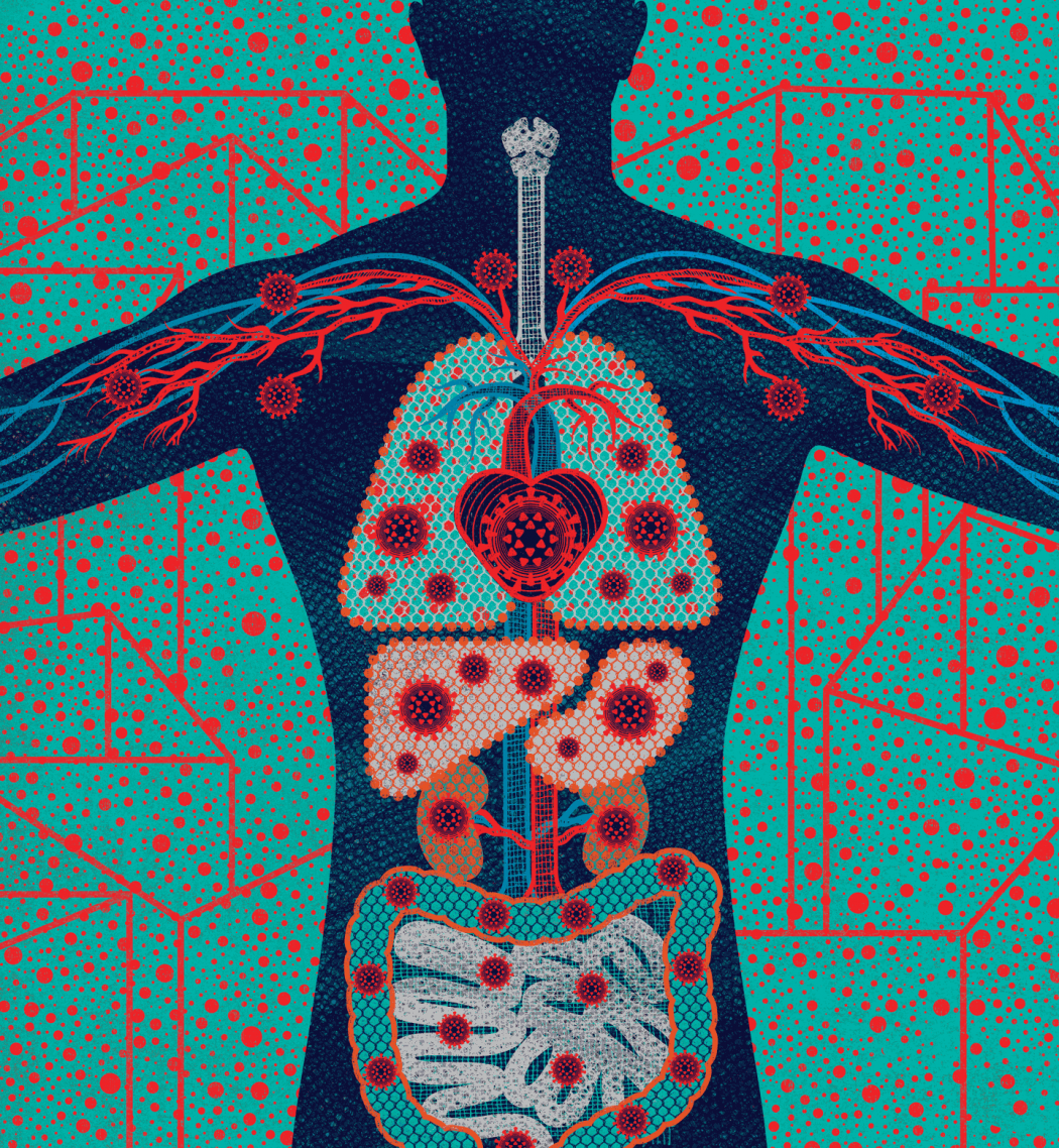 Illustration of the inside of a body, with                coronavirus cells throughout.