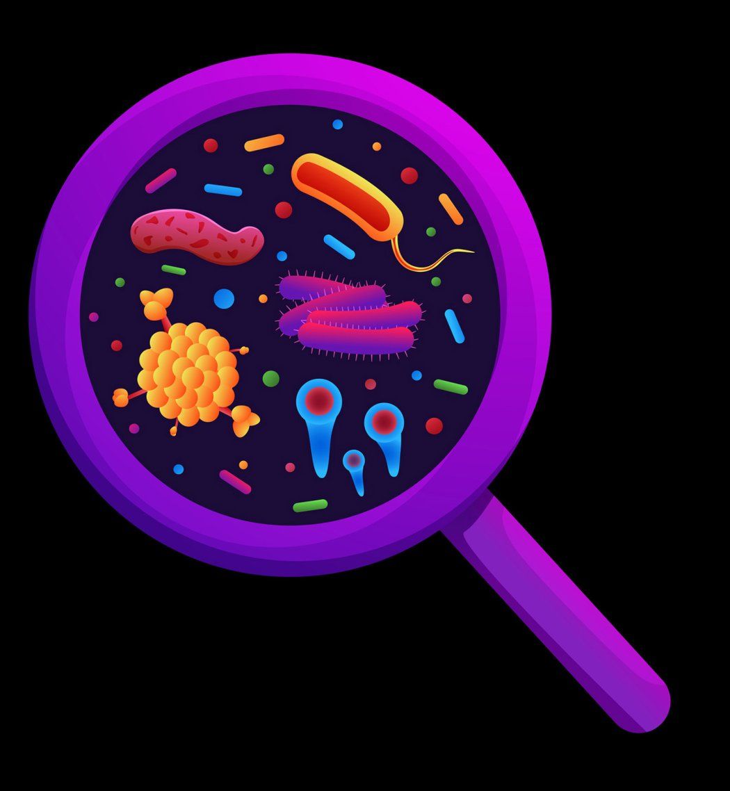 An illustration of a magnifying glass with several bacterium in view of the lense