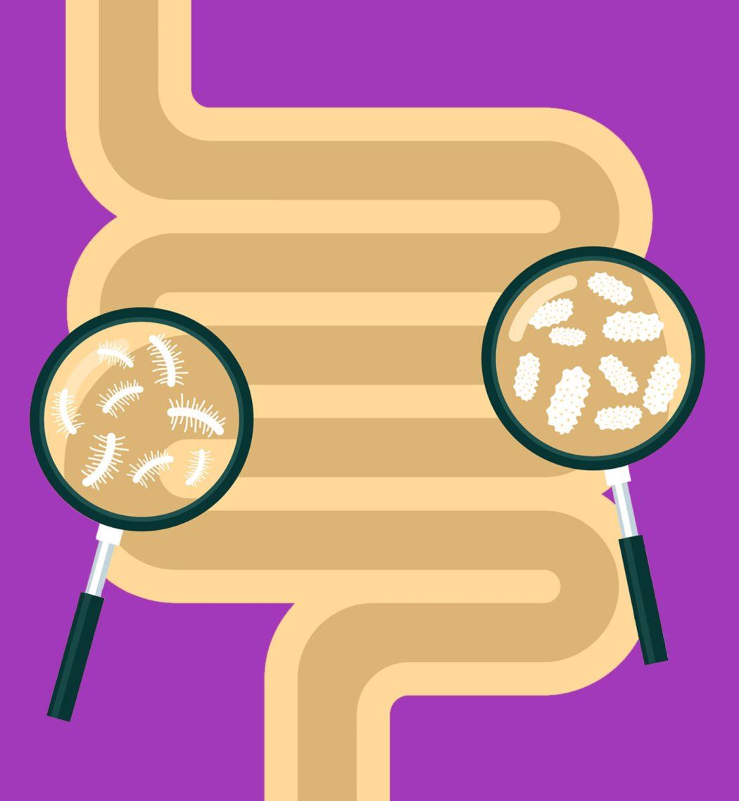 An illustration of a large intestine, with two magnifying glasses focusing on white microbes