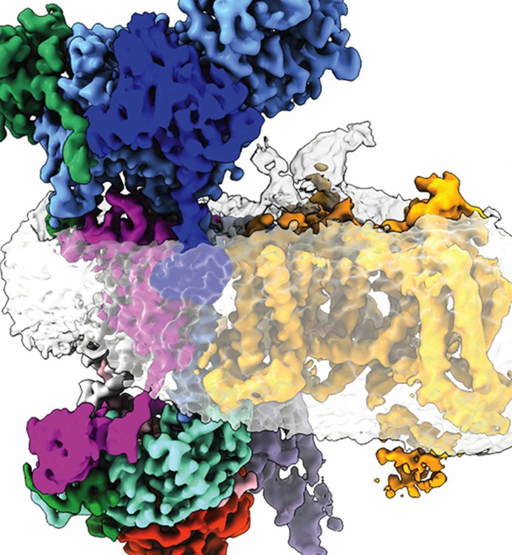 A multicolored 3D model of a protein and cell membrane.