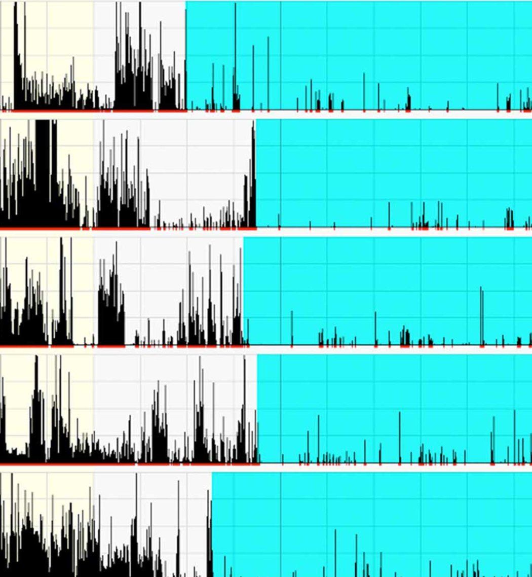 A sleep actogam chart that measures movement during sleep.