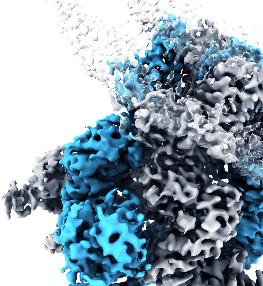 A 3D molecular rendering of a TRPM8 protein, shown as a complex, bumpy mass in shades of light blue and grey against a solid white background. In the upper-left corner, the structure appears to be breaking apart or dispersing into small, scattered fragments.