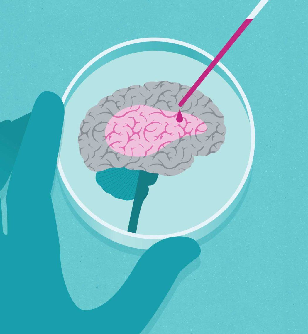 A conceptual illustration showing a hand administering a liquid medication to a brain on a petri dish, signaling to treatments of brain disease and mental health.