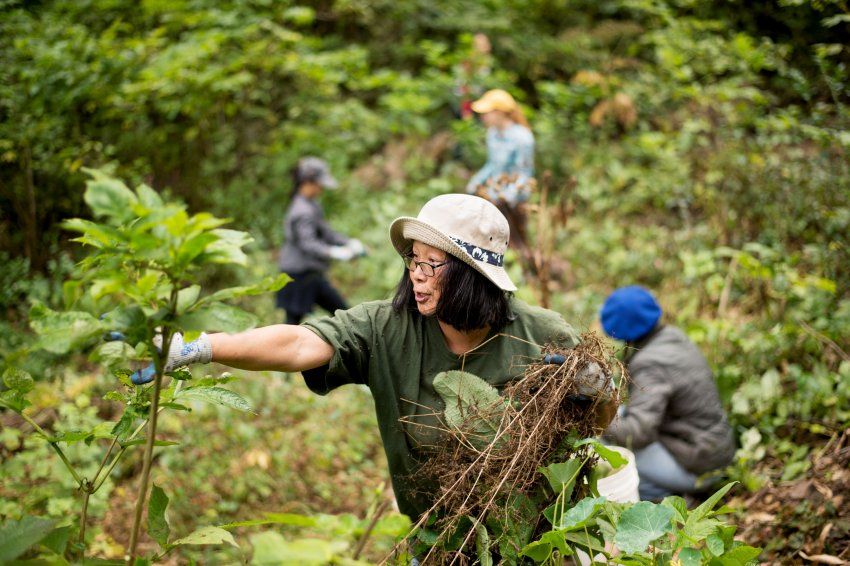 Woman tending to the forest. 