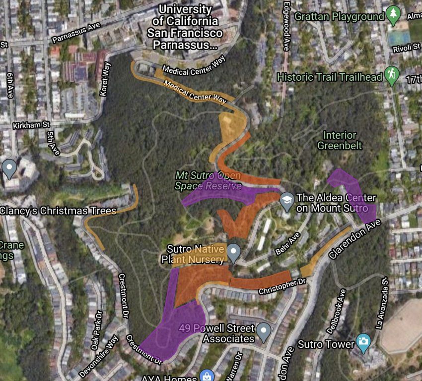 A map of the Mount Sutro forest that visually represents the information on areas of focus by year