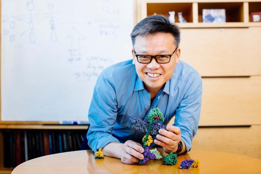 Wendell Lim smiles as he holds a cellular model in his Mission Bay Office