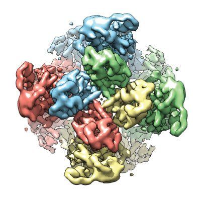 a molecular visualization of the TRPV1 protein