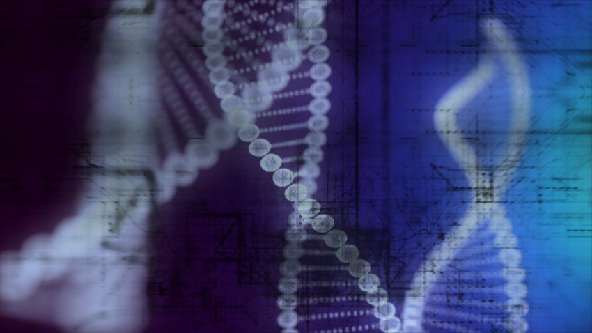 Illustration of DNA strands and data